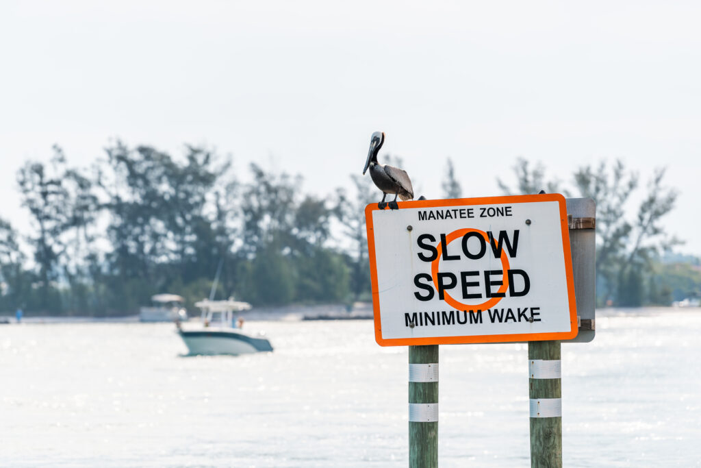slow speed minimum wake sign in a manatee zone
