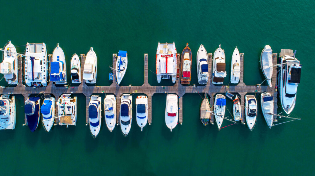 marina full of boats