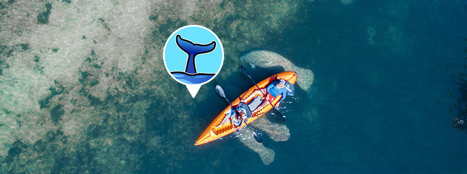 5 Best Places to see Manatees in Florida | KnowWake