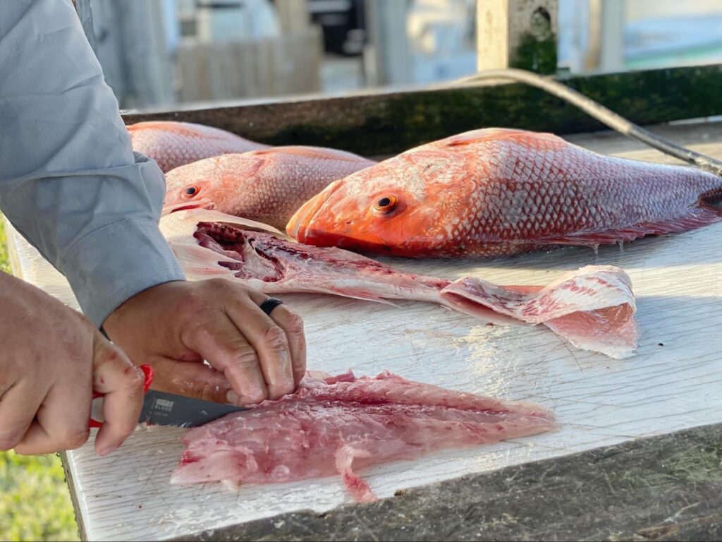 how to cook red snapper