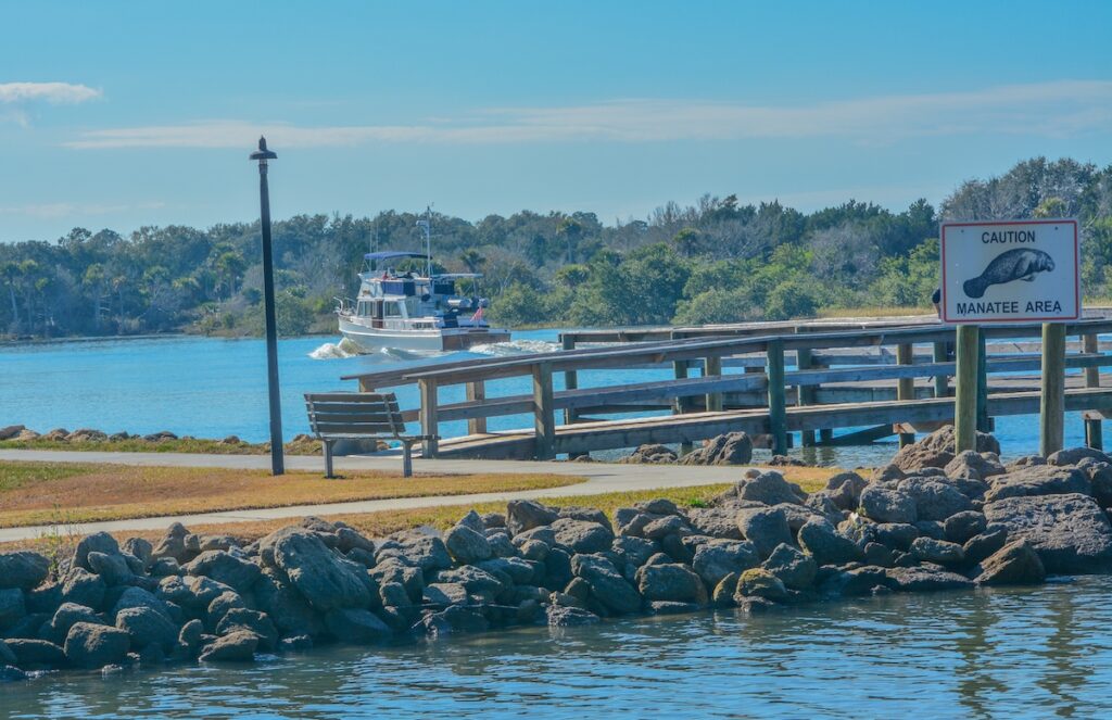 where to see manatees in florida