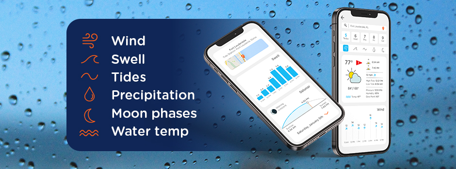 Marine Weather Forecast Homer AK
    Navigating the Unpredictable Bering Sea