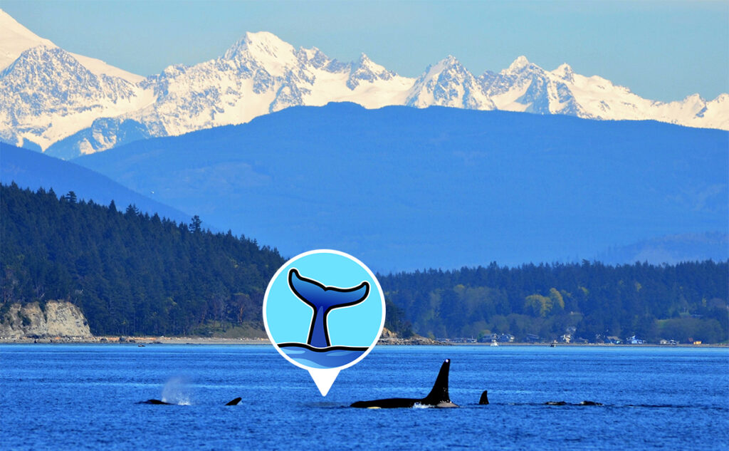best boat for puget sound